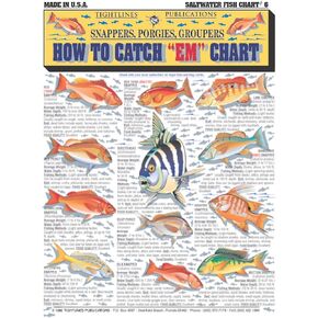 كيفية التقاط تعريف أسماك المياه المالحة رقم 6 (Snappers ، Porgies & Groupers) - دليل مرجعي سريع مقاوم للماء | محمولة ومصممة لآخر | على الوجهين وسهل القراءة