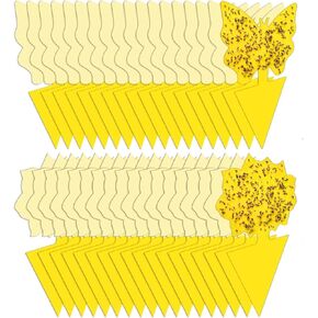 36 Pack Fruit Fly Trap for Indoors, Fungus Gnat Killer Indoor Sticky Traps for Mosquito, Bug Insect Catcher Killer for Houseplant
