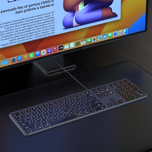 Black Wired Backlit Keyboard for Apple Mac OS, USB-A/Type-C Cable Connection Aluminum Keyboard with Numeric Keypad for iMac/Mac Mini Computer or MacBook Laptop(Keyboard Riser Included) in Saudi Arabia