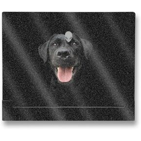 MightySkins Glossy Glitter Skin Compatible with Alienware X14 R2 (2023) Full Wrap Kit - Black Lab | Protective, Durable High-Gloss Glitter Finish | Easy to Apply & Change Styles | Made in The USA