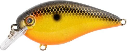 Strike King (HCKVD1.5E-497) KVD ELITE 1.5 Squarebill ، Crankbait الضحلة ، عمل صيد صامت ، 3/8 أونصة ، الغطس من 3 إلى 6 أقدام ، حجم 4 Mustad Triple Treble Hooks ، Fools Golds in Kuwait