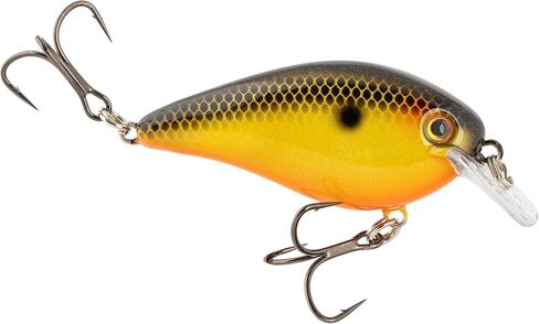 Strike King (HCKVD1.5E-497) KVD ELITE 1.5 Squarebill ، Crankbait الضحلة ، عمل صيد صامت ، 3/8 أونصة ، الغطس من 3 إلى 6 أقدام ، حجم 4 Mustad Triple Treble Hooks ، Fools Golds in Kuwait