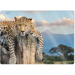 MightySkins Glossy Glitter Skin Compatible with Microsoft Surface Laptop 5 15" Full Wrap Kit - Chill Leopard | Protective, Durable High-Gloss Glitter Finish | Easy to Apply | Made in The USA