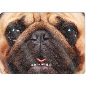 MightySkins Glossy Glitter Skin Compatible with Microsoft Surface Laptop 5 15" Full Wrap Kit - Pug | Protective, Durable High-Gloss Glitter Finish | Easy to Apply & Change Styles | Made in The USA