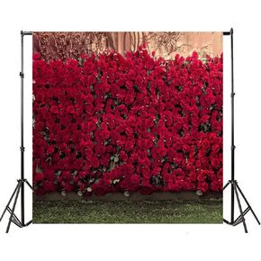 AOFOTO 8x8ft Portrait Backdrops Photography Wedding Background Manor Romance Red Rose Flowers Wall Blurry Grassland Lovers Anniversary Decor Kid Girl Ladies Portrait Photo Shoot Studio Props Vinyl