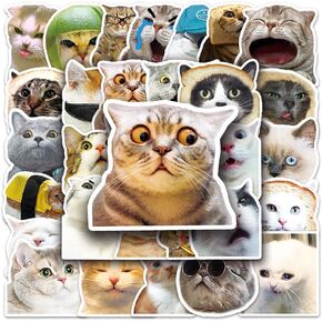 50Pcs Cat Meme Stickers - Funny Waterproof Stickers for Adults and Teens - Cute Cat Vinyl Decals