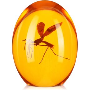 Qunclay Mosquito in Amber Resin Prop Replica Mosquito Collectible Paper Weight 2D Mosquito Amber Collection Flat Bottom Resin Paperweight for Decor