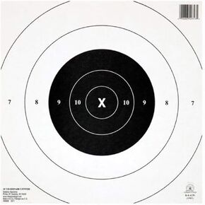 Champion Traps and Targets NRA Paper GB-8(CP) 25-yard Timed and Rapid Fire Centers Target (Pack of 12)