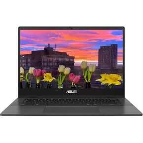 ASUS Chromebook CM1402 Laptop, 14" FHD (1920 x 1080) LED Display, MediaTek Kompanio 520, 8-Core, 4GB RAM, 64GB eMMC, Chrome OS, Gravity Gray, TWE 64GB Micro SD Card