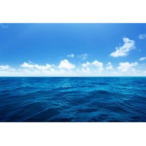 YongFoto 10x8ft Natural Scenery Backdrop Blue Ocean Sky White Clouds Sea Waves Landscape Photography Background Baby Shower Wedding Birthday Party Decor Children Adult Portrait Photo Props Polyester