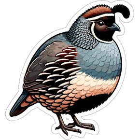 Quail Sticker, Decal Vinyl Small Waterproof for Bottle Mug Passport Scrapbook Laptop Tumbler Skateboard Phone - ID44990