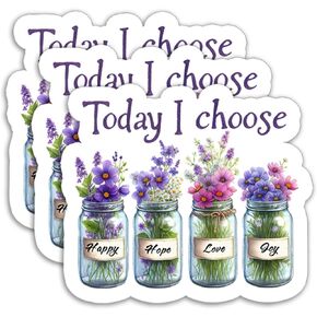 (3PCS) Today I Choose Joy Sticker, Inspirational Stickers, Encouraging Stickers, Motivational Quote Stickers - Waterproof Vinyl Decal for Book Laptop Tumbler Water Bottle, Size 3" x 2.7"