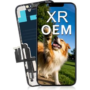 6.1 "OEM Premium for iPhone XR Screen Replace A2105 ، A1984 ، A2107 ، A2108 ، A2106 3D Touch Digitizer LCD مع مجموعة إطار (OEM ، NO TOOTS)
