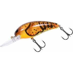 طراز Bomber Model A (Muddy Craw) in Kuwait