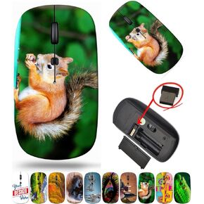 maizi Laptop Mouse for Laptop Chromebook Computer, Laptop Mice Image ID: 21711239 Squirrel Eating a del 2.4G USB Receiver Portable American-Made Product