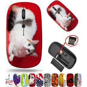 maizi Wireless Computer Mouse for Pc Mac Computer Personal Laptop, Wireless Computer Mice for Pc Image ID: 31592305 Thick White cat with 2.4G USB Receiver Portable American-Made Product