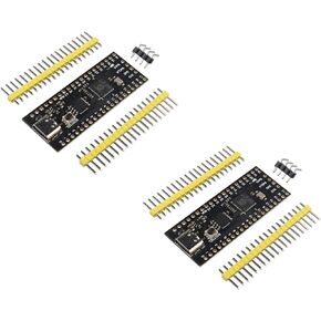 ZDE 2PCS RP2040 Core Board Type-C USB-C Dual-Core Arm Cortex M0+ Processor 16MB for Raspberry Pi Pico Micropython C/C++