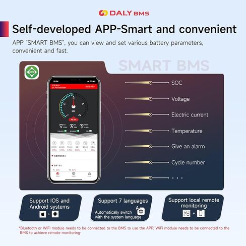 DALY Smart BMS 8S 24V 60A with WiFi Module and CAN 485 Communication Protection Board for Remote Monitoring of LifePO4 Lithium Battery Pack in Saudi Arabia