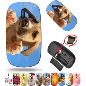 maizi Wireless Mouse Slim for Chromebook Laptop PC Notebook Wireless Mice Slim Image ID: 12525148 Little Puppy in The a 2.4G USB Receiver Portable American-Made Product