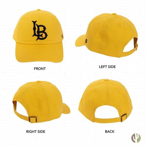 Desert Cactus Cal State Long Beach Baseball Hat University California Dirtbags LBSU CSULB Brimmed Embroirderd Hats Cap Adjustable Cloth Strap Adult (Style A) Black in Saudi Arabia