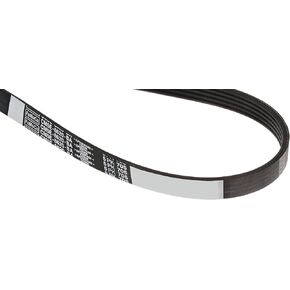 Motorcraft - Belt (P) (JK5291)