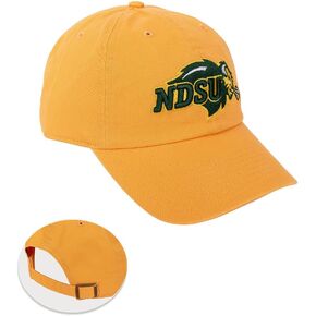 Desert Cactus North Dakota State University Baseball Hat Bison NDSU Brimmed Embroirderd Cap Adjustable Cloth Strap Adult (Style A) Green