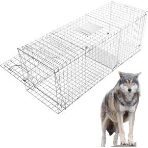 Extra Large 59x20x22 Inches Heavy Duty Foldable Live Trap for Large Dogs, Foxes, Coyotes, Bobcats and Other Live Animals. Steel Collapsible with Humane Trap Release Door