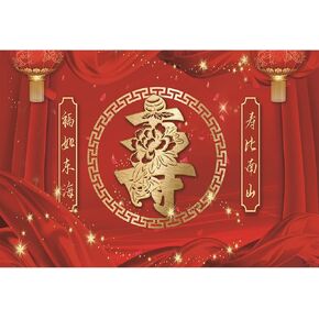 Baocicco 6x4ft Chinese Style Birthday Backdrops for Photography Glitter Red Lanterns Wish Old People Longevity Grandparents 60th 70th 80th Birthday Party Backdrop Portrait Photo Studio Shoot Prop