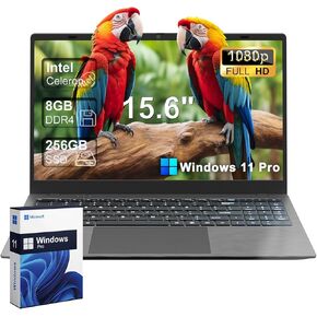 15 15.6" FHD 1920 X 1080 Display Laptop Computer for College Students Business, 8GB LPDDR4 RAM 256GB SSD, Dual-Core Intel Celeron, Numeric Keypad, Windows 11 Pro, Slim Portable, Gray