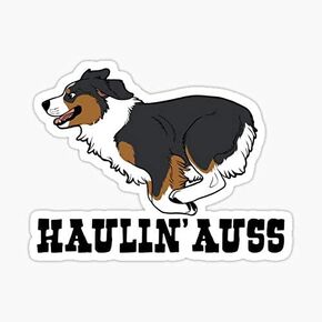 HAULIN' AUSS (Black tri) Sticker - My STICKER Design - Sticker Graphic