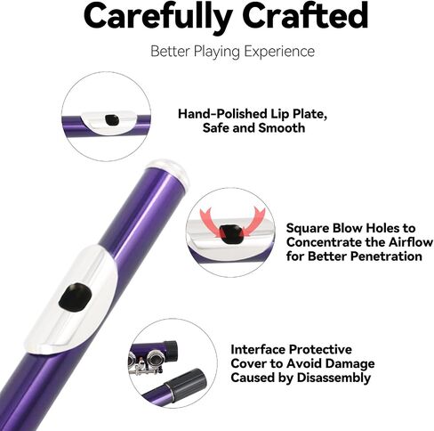 Flutes Closed Hole C for Beginners Kids Student 16 Keys Nickel-plated Flutes - Musical Instrument with Case Stand Cleaning Cloth Gloves Tuning Rod (Silver) in Saudi Arabia
