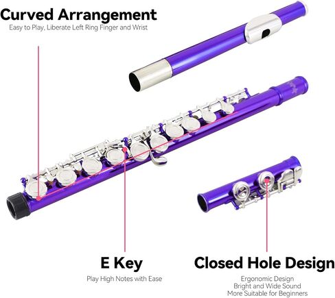 Flutes Closed Hole C for Beginners Kids Student 16 Keys Nickel-plated Flutes - Musical Instrument with Case Stand Cleaning Cloth Gloves Tuning Rod (Silver) in Saudi Arabia