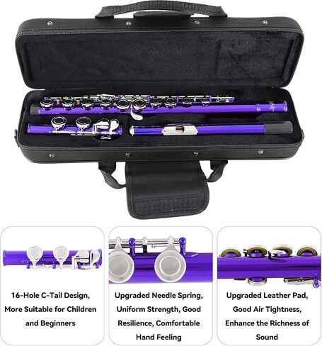 Flutes Closed Hole C for Beginners Kids Student 16 Keys Nickel-plated Flutes - Musical Instrument with Case Stand Cleaning Cloth Gloves Tuning Rod (Silver) in Saudi Arabia