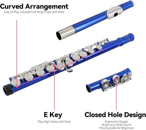 Flutes Closed Hole C for Beginners Kids Student 16 Keys Nickel-plated Flutes - Musical Instrument with Case Stand Cleaning Cloth Gloves Tuning Rod (Silver) in Saudi Arabia