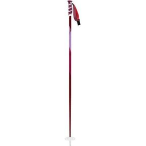 Swix Swixalpine-ski-Poles