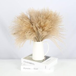 HUAESIN الطبيعية المجففة بامباس العشب 100 قطعة 17 بوصة طويل القامة ريد العشب رقيق بامباس العشب ينبع ترتيبات الزهور المجففة لديكور الزفاف بوهو ديكور المنزل إكليل مزهرية in Kuwait