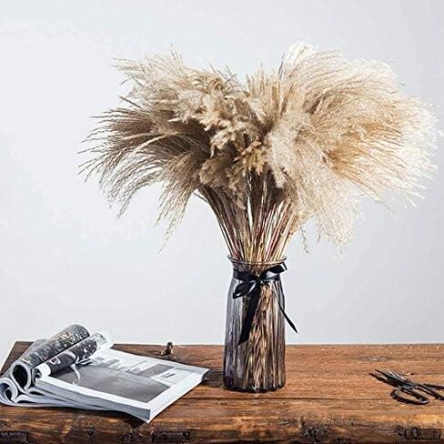 HUAESIN الطبيعية المجففة بامباس العشب 100 قطعة 17 بوصة طويل القامة ريد العشب رقيق بامباس العشب ينبع ترتيبات الزهور المجففة لديكور الزفاف بوهو ديكور المنزل إكليل مزهرية in Kuwait