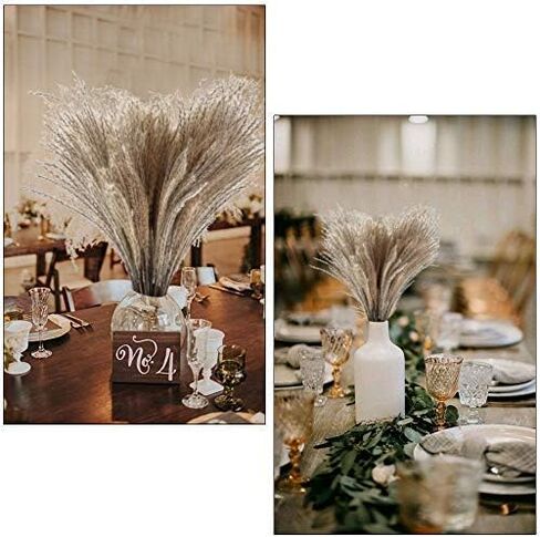 HUAESIN الطبيعية المجففة بامباس العشب 100 قطعة 17 بوصة طويل القامة ريد العشب رقيق بامباس العشب ينبع ترتيبات الزهور المجففة لديكور الزفاف بوهو ديكور المنزل إكليل مزهرية in Kuwait