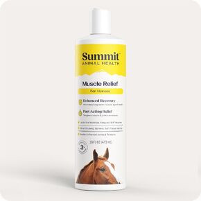 Summit Equine Muscle Relief Gel for Horses – Advanced L-Carnosine Formula for Sore Muscle Recovery, Inflammation Reduction, and Joint Comfort – 16 fl oz