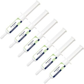 SmartPak SmartLytes Paste Horse Electrolyte Paste | Encourages Hydration, Replenishes Electrolytes, No Added Sugar, Apple Banana Flavor, Pack of 6 Tubes