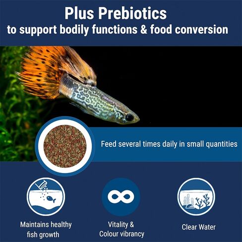 TetraMin Nutritionally Balanced Tropical Flake Food for Tropical Fish in Saudi Arabia