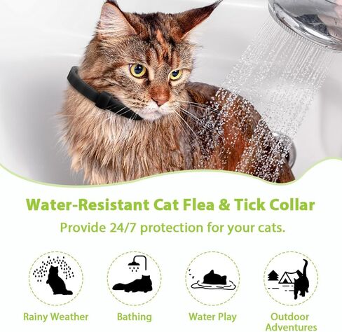 4 Pack Flea and Tick Collar for Cats, Natural Plant Oil Formula Cat Flea Collar Provides 32-Month Protection for Flea Tick Prevention, Waterproof & Adjustable Cat Flea Treatment for Most Cats in Kuwait