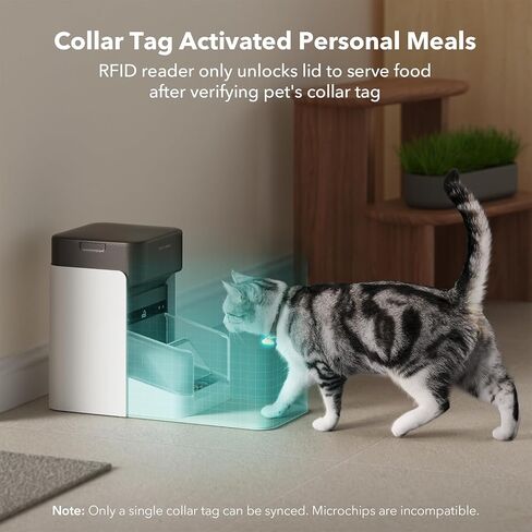 Petlibro RFID Automatic Cat Leeder ، 5G Wi-Fi Pet Leeder ، 3L Auto Cat Leeder Control مع علامة طوق الضوء و 6 حزم حقيبة غذائية للحيوانات الأليفة ، مغذيات تلقائية للقطط in Saudi Arabia
