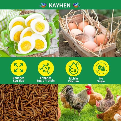 kayhen يرقات ذبابة الجندي الأسود المجففة، 20 رطل، يرقات bsf غير المعدلة وراثيًا للدجاج، تحتوي على المزيد من الكالسيوم من ديدان الوجبات، علاجات الدجاج عالية البروتين لطبقات الدجاج والطيور البرية والبط in Kuwait