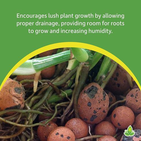 Josh's Frogs False Bottom - Leca موسع الحصى الطينية (5 كوارت) in Kuwait