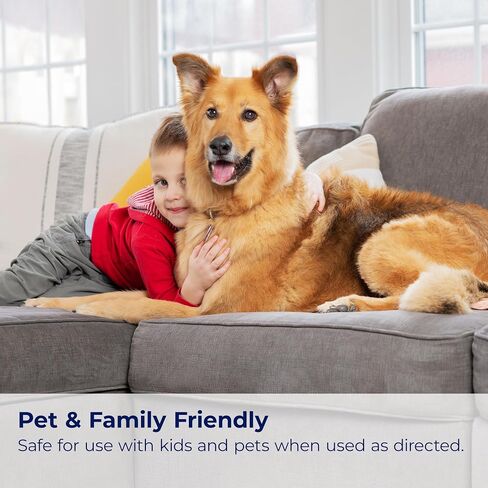 Bissell InstaClean Oxy Pet Spot and Stain Remover with Brush Head, 4 pack, 17409 in Saudi Arabia