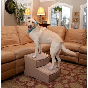 Pet Gear Easy Step II Extra Wide Pet Stairs, 2 Step for Dogs/Cats up to 200 pounds, Removable/Washable Carpet, Easy Assembly (No Tools Required), Camel