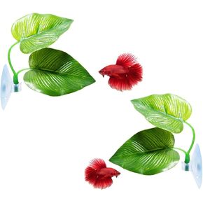 CousDUoBe 2 Pack Betta Fish Leaf Pad Improves Betta's Health by Simulating The Natural Habitat - Natural, Organic, Comfortable Rest Area for Fish Aquarium Ornaments