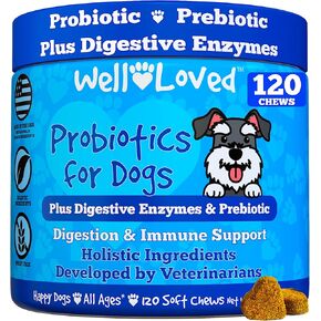 Probiotics for Dogs, Dog Probiotics, Made in USA, Vet Developed for Gut Health, Yeast Balance, Itchy Skin, Diarrhea & Gas Relief, Chews with Prebiotic & Digestive Enzymes, Digestive Support