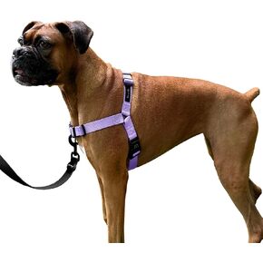 ShawnCo Dream Walk No-Pull Dog Harness- Adjustable, Comfortable, Easy to Use Pet Halter to Help Stop Pulling for Small, Medium and Large Dogs (ICY Lilac, M)